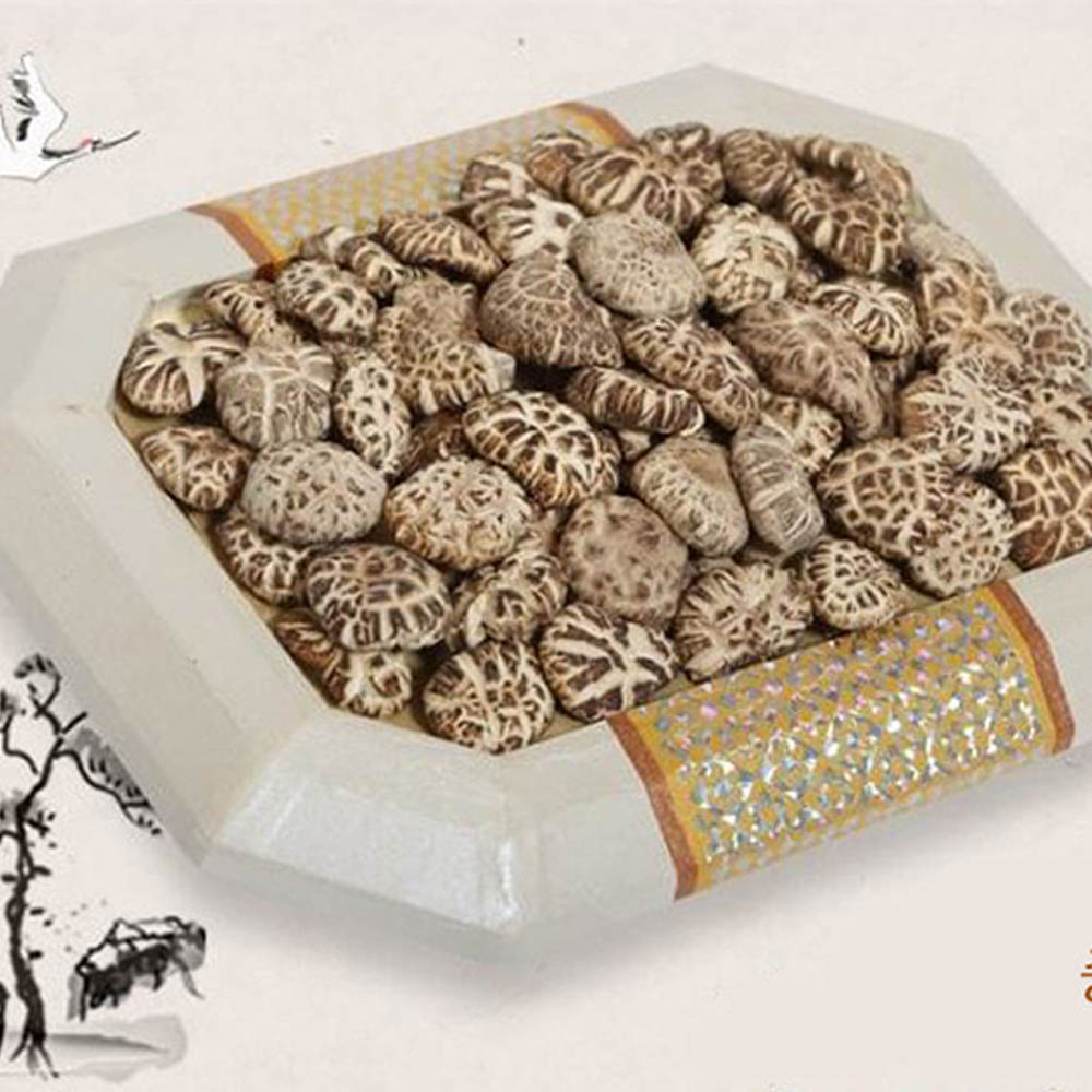 1723509030 thumbnail