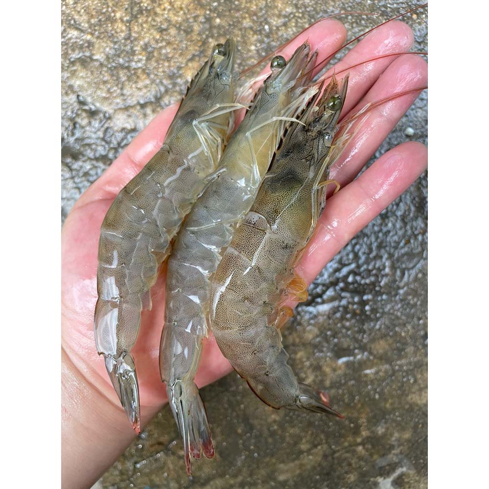 1724125720 thumbnail