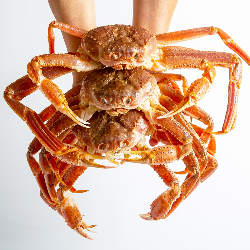 1724125750 thumbnail