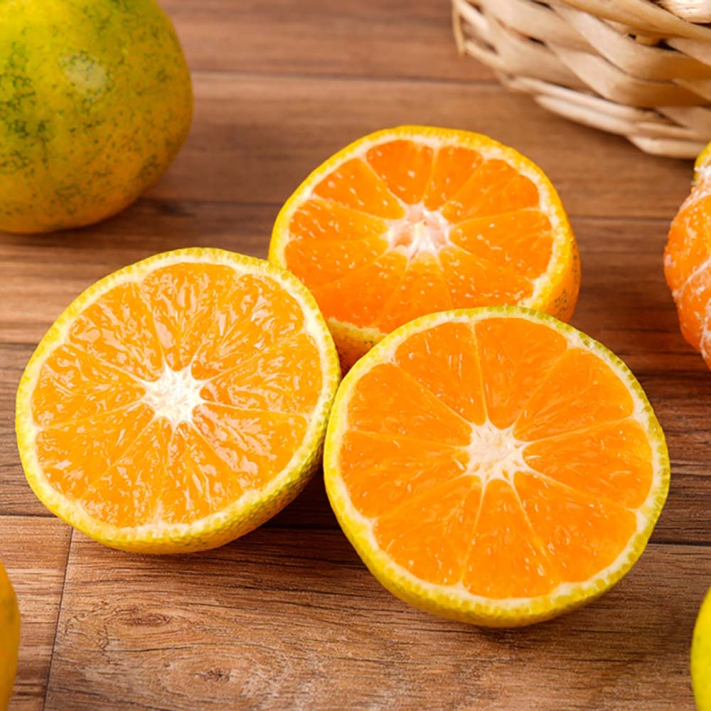 1724125768 thumbnail