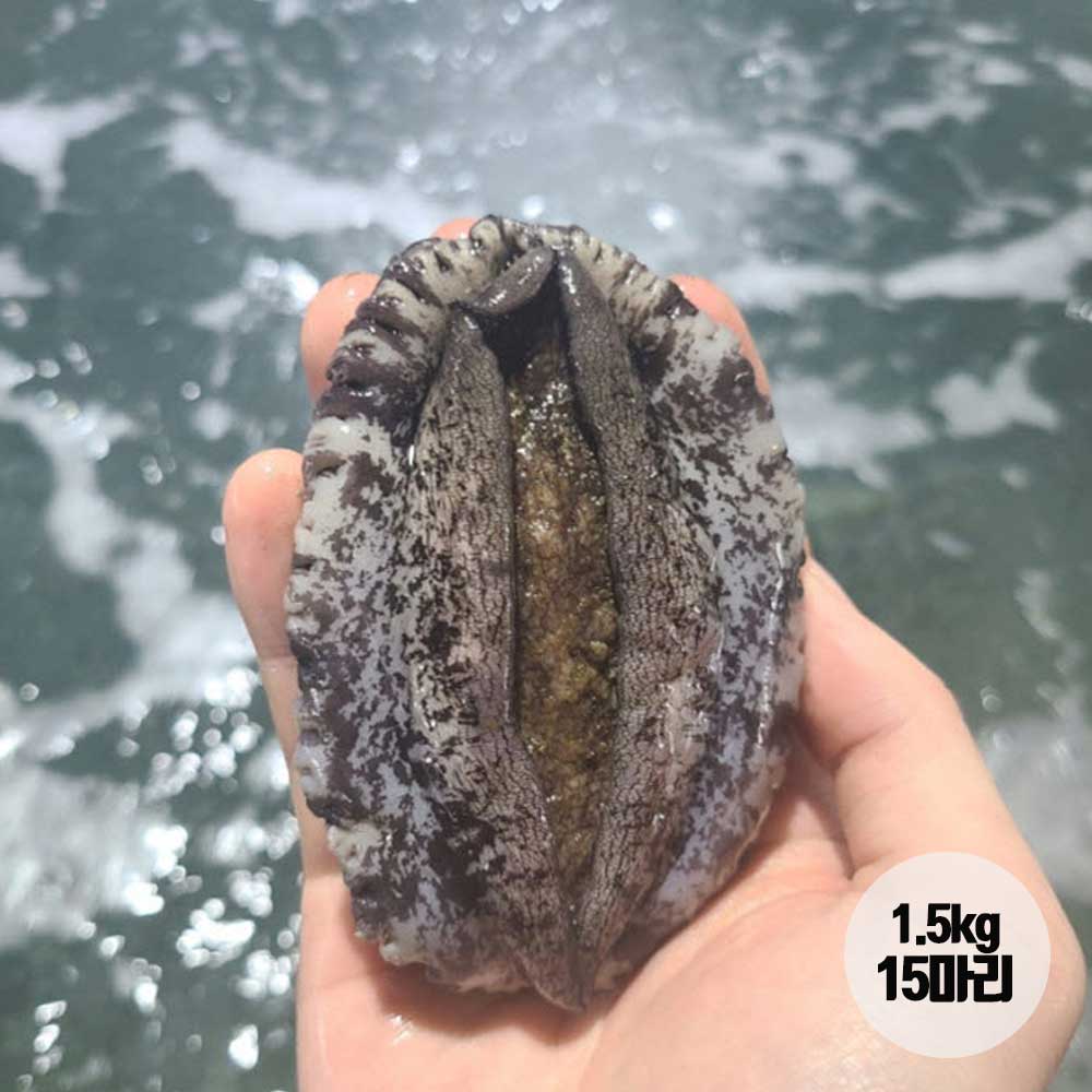 1724129821 thumbnail