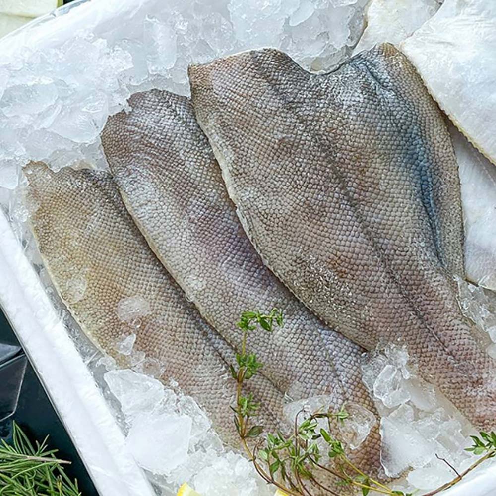 1724302700 thumbnail