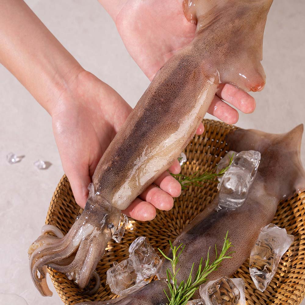 1724302702 thumbnail