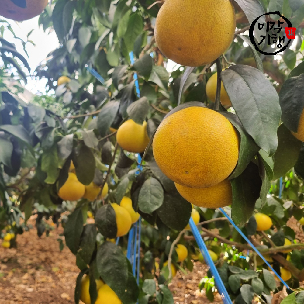 1724386824 thumbnail