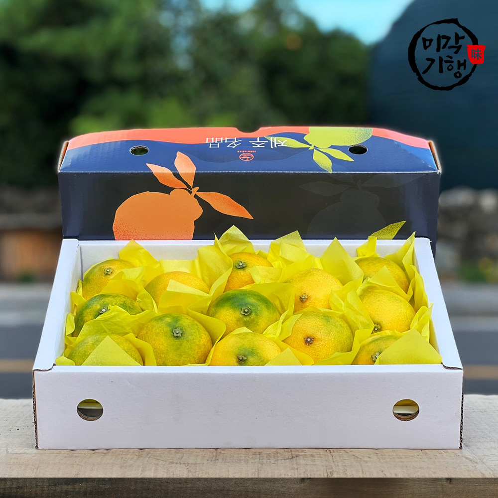 1724386828 thumbnail