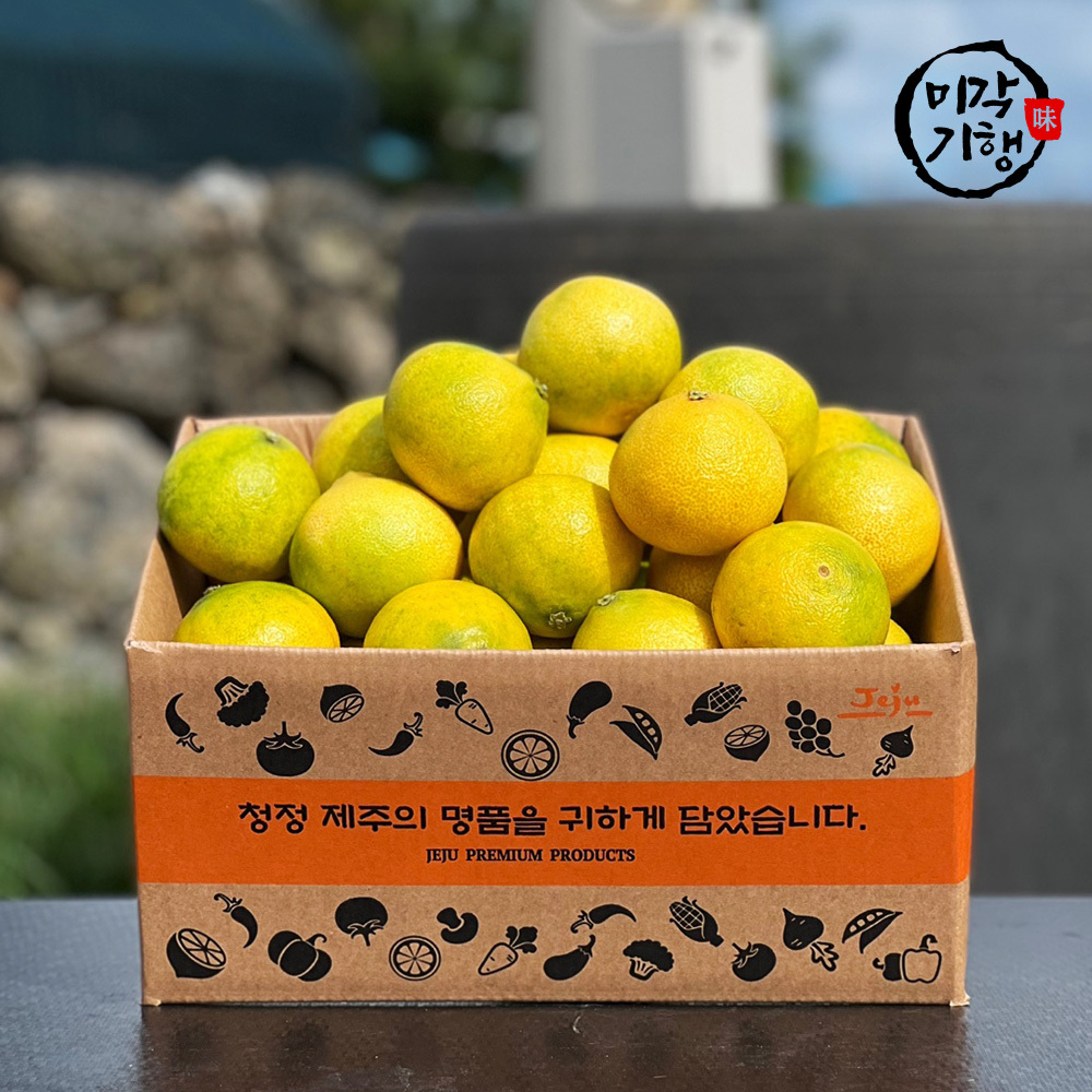 1724386829 thumbnail