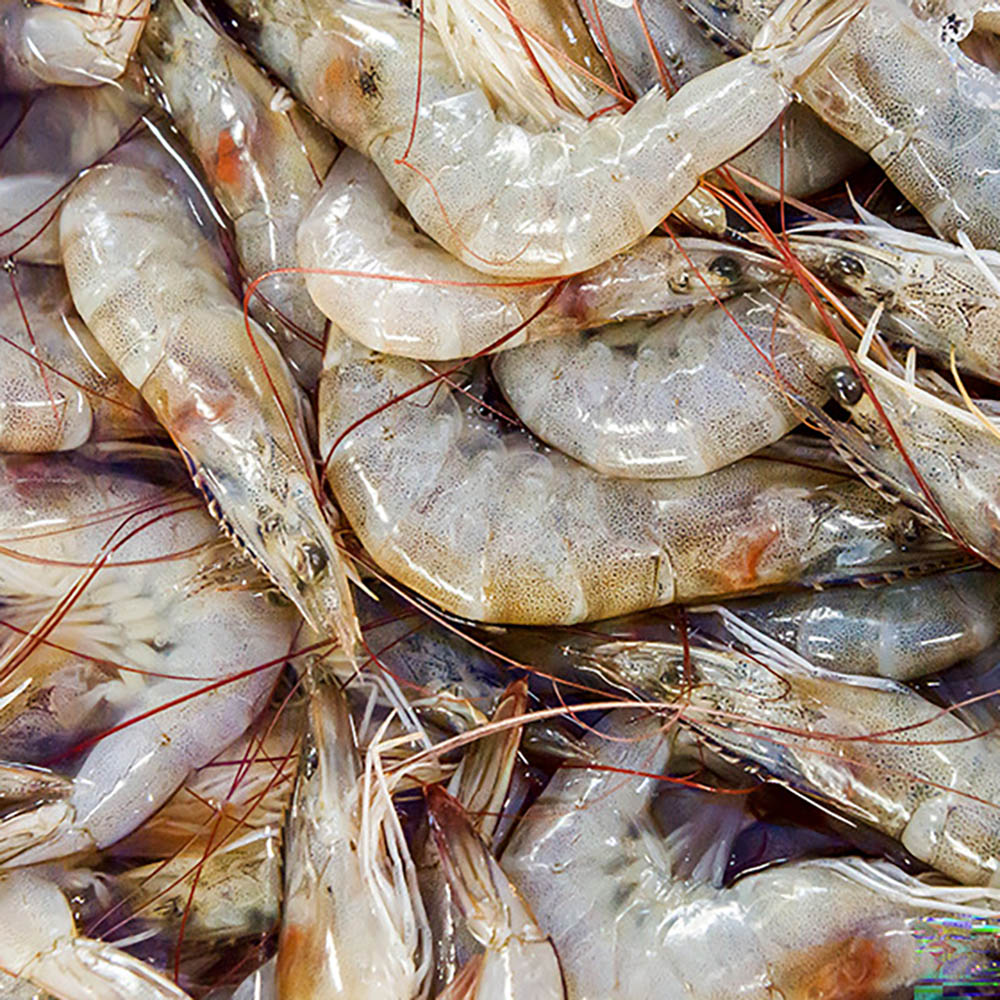 1724386838 thumbnail