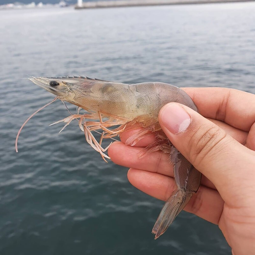 1724386840 thumbnail