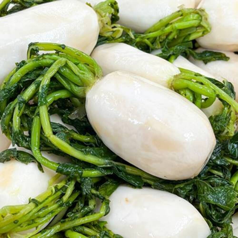 1724648816 thumbnail