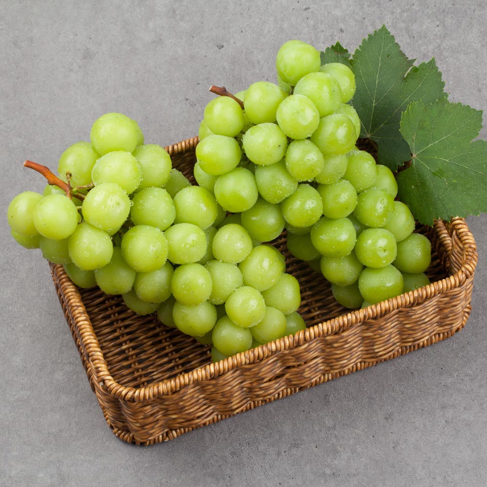 1724648872 thumbnail