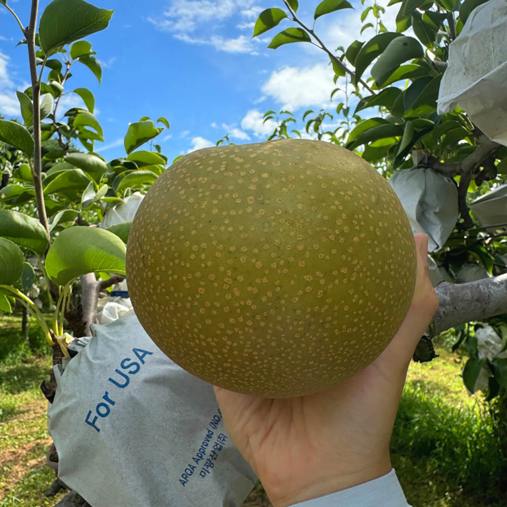 1724824223 thumbnail