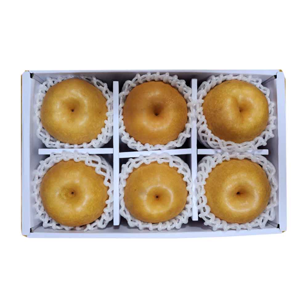 1724917369 thumbnail