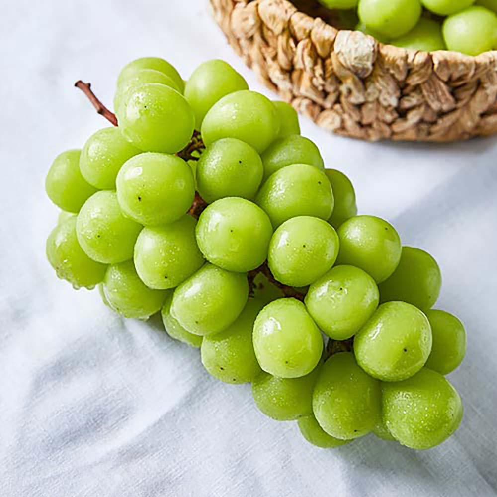 1725329487 thumbnail