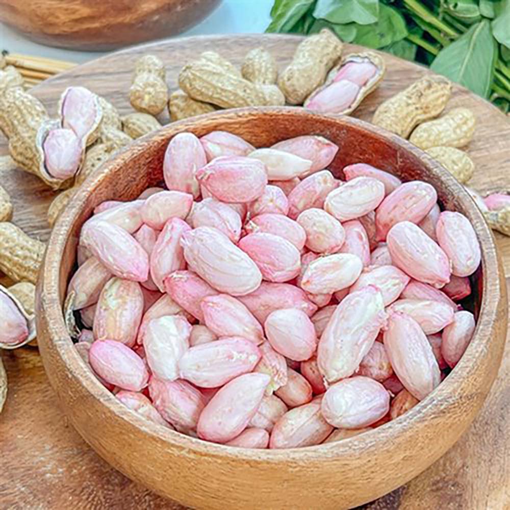 1725330139 thumbnail