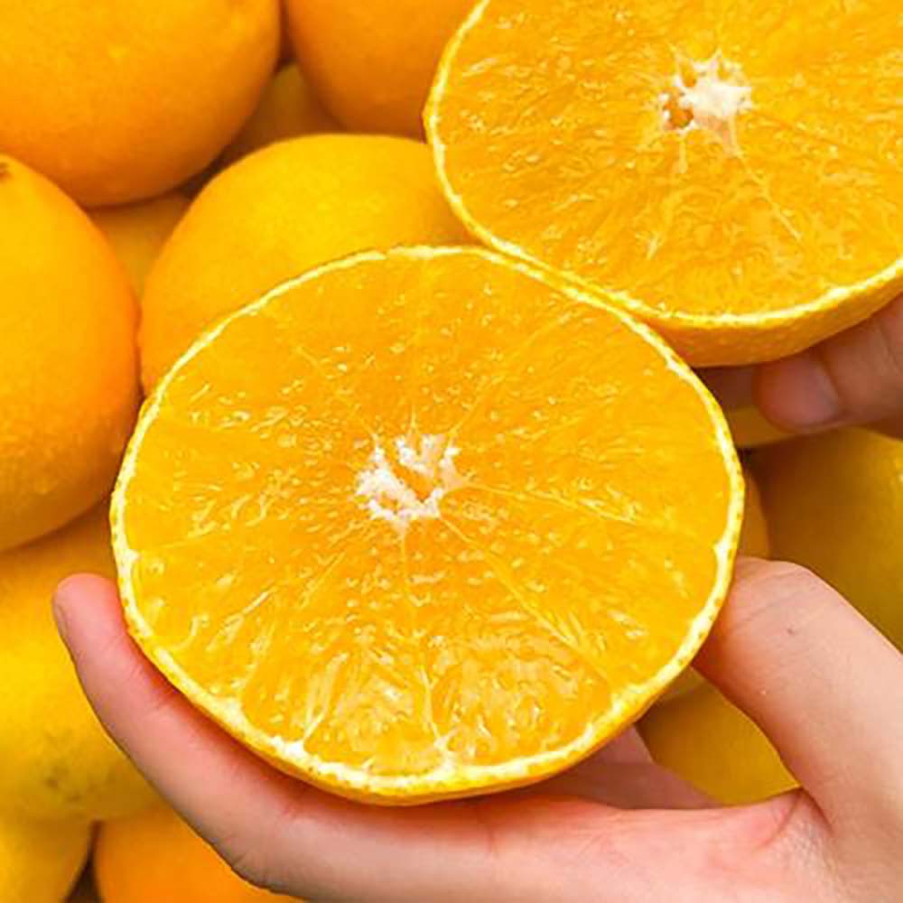 1725330146 thumbnail