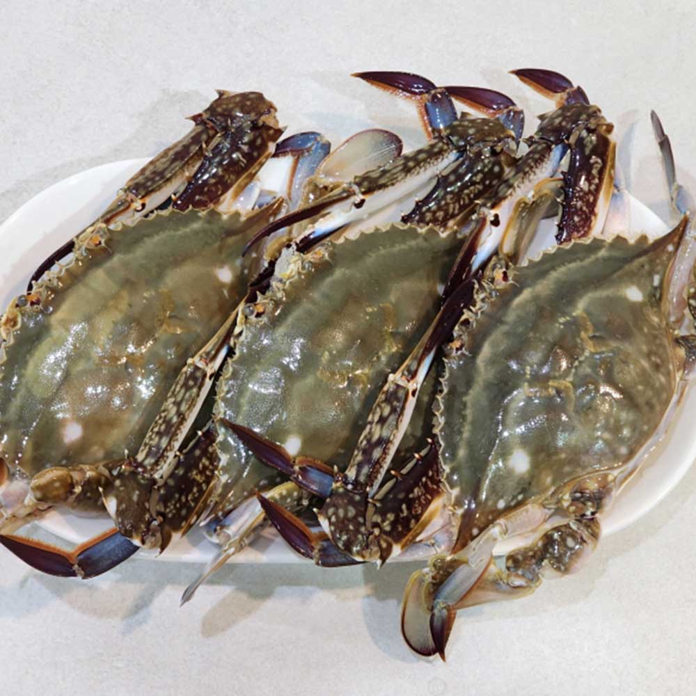 1725418220 thumbnail