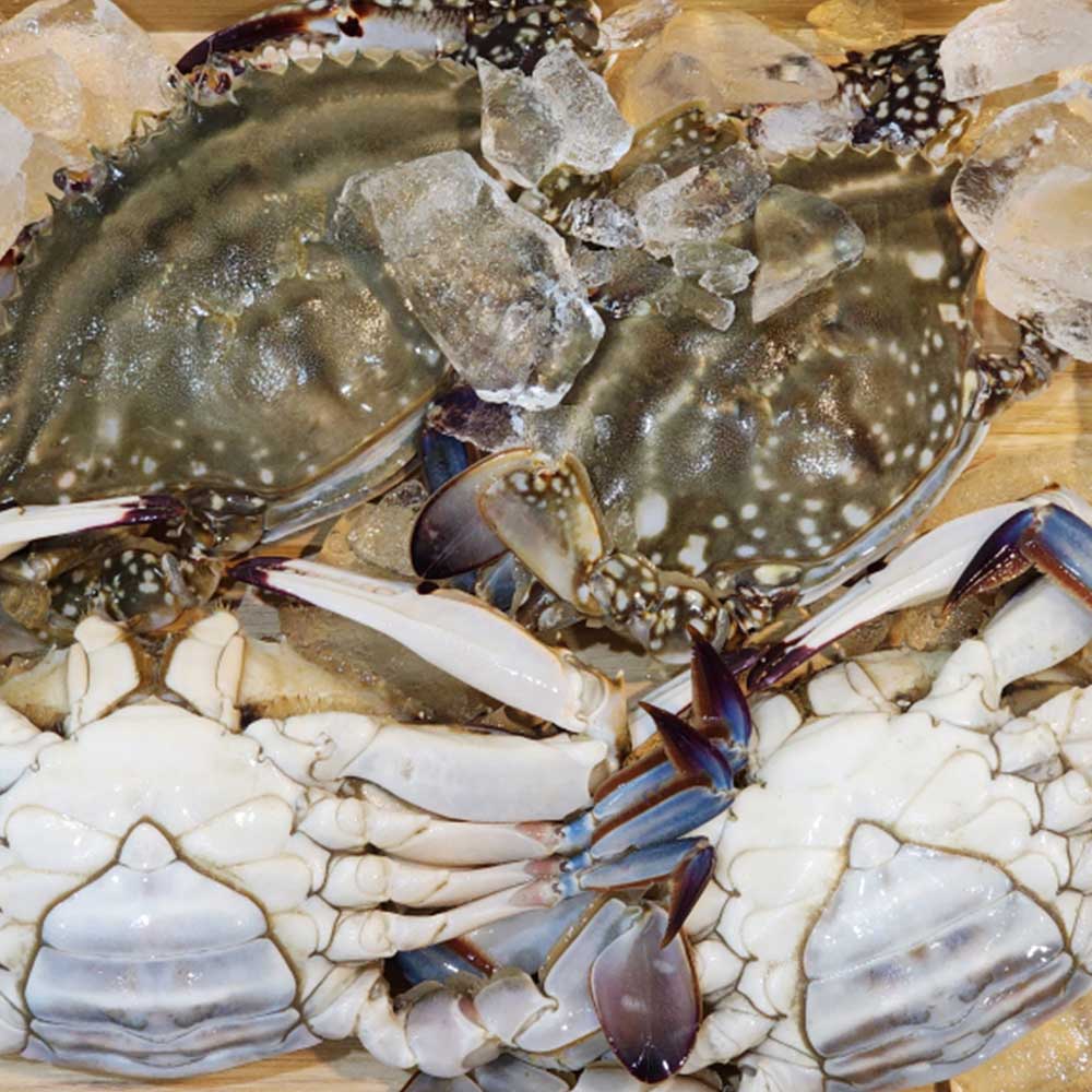 1726033100 thumbnail