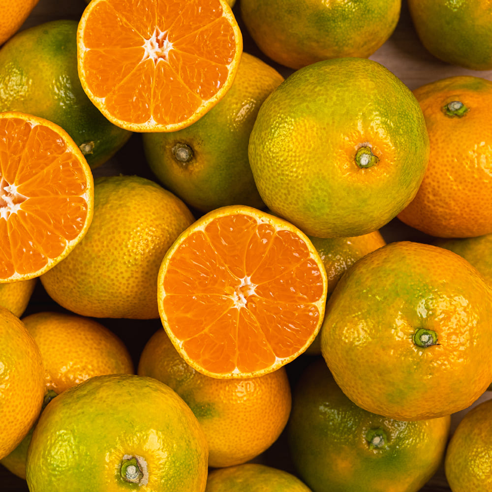 1727226934 thumbnail