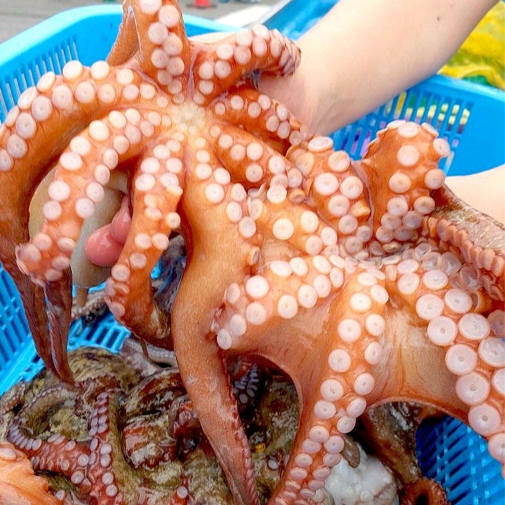 1727402167 thumbnail