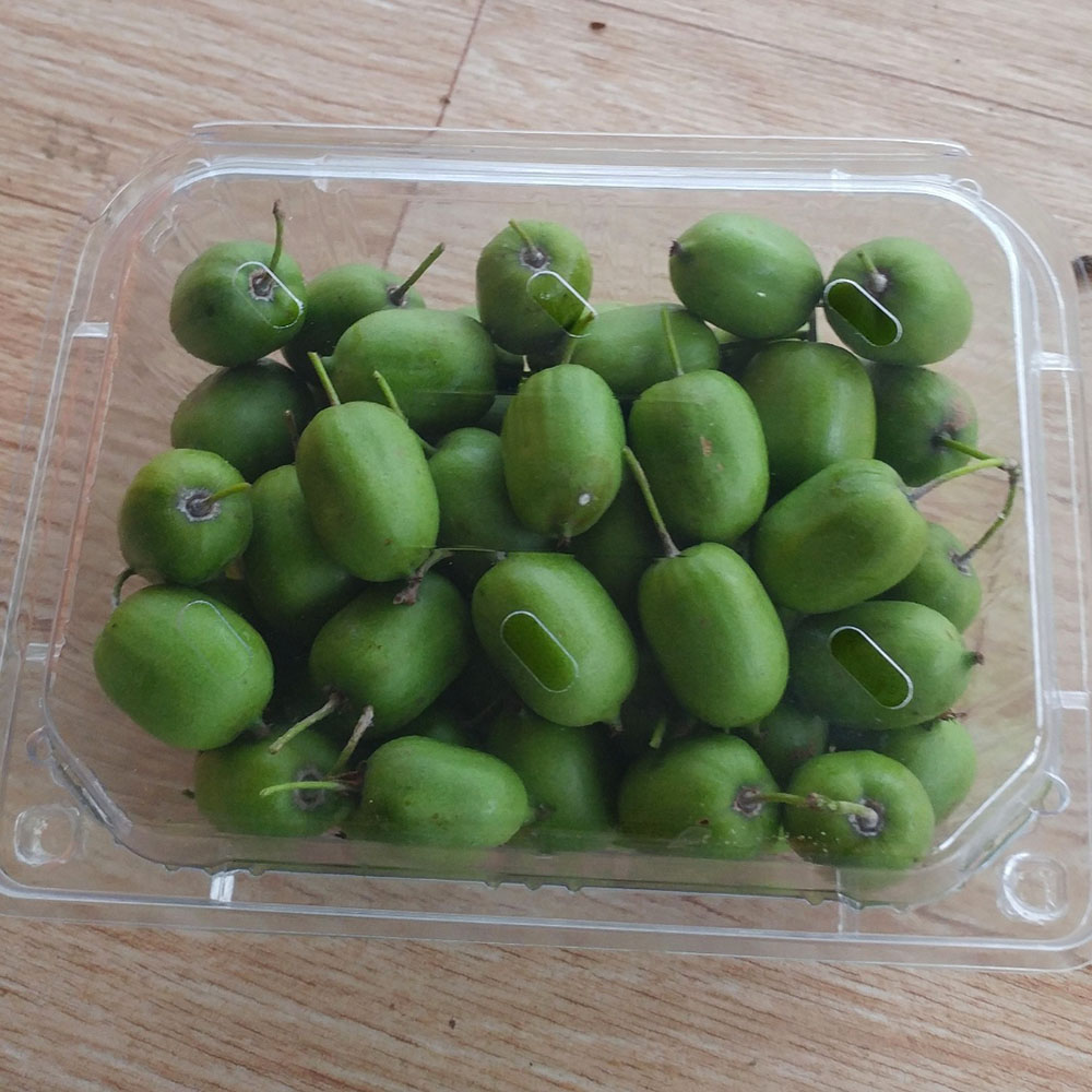 1727408381 thumbnail