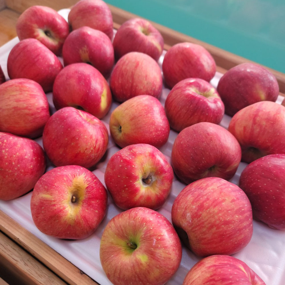 1727408411 thumbnail