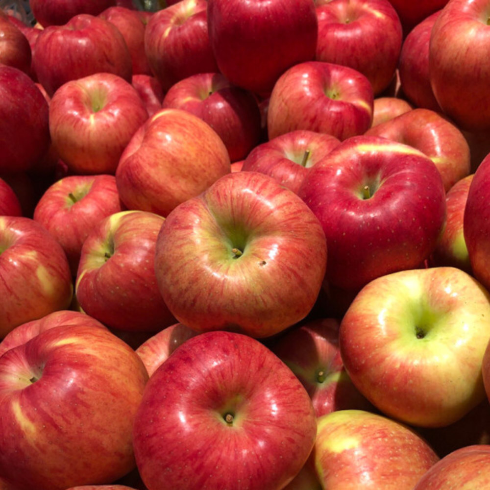 1727408412 thumbnail