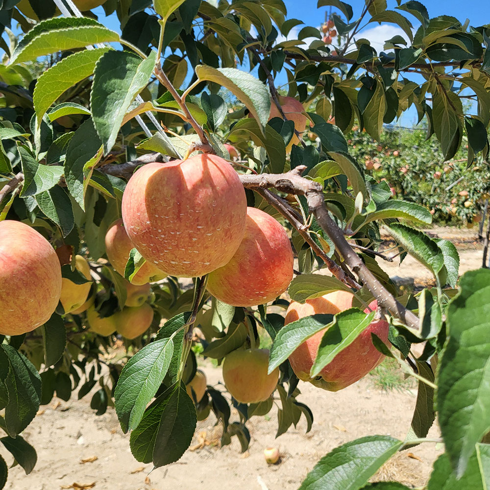 1727408413 thumbnail