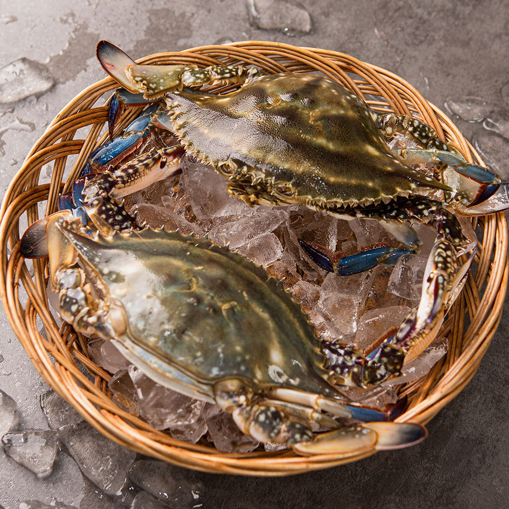 1727410947 thumbnail