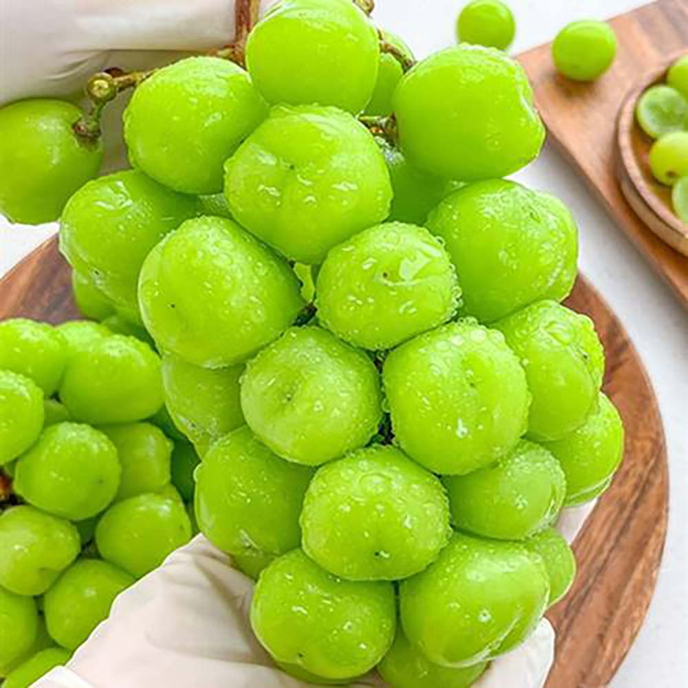 1727410961 thumbnail