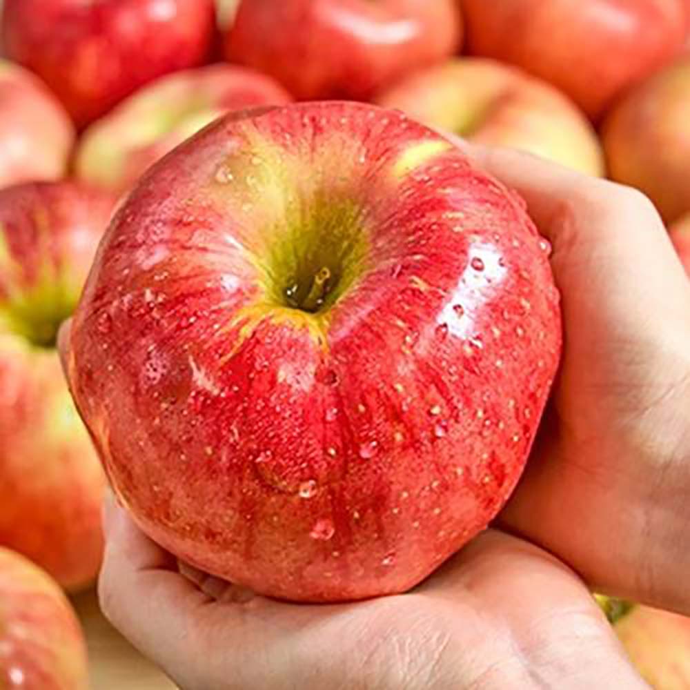 1727410968 thumbnail