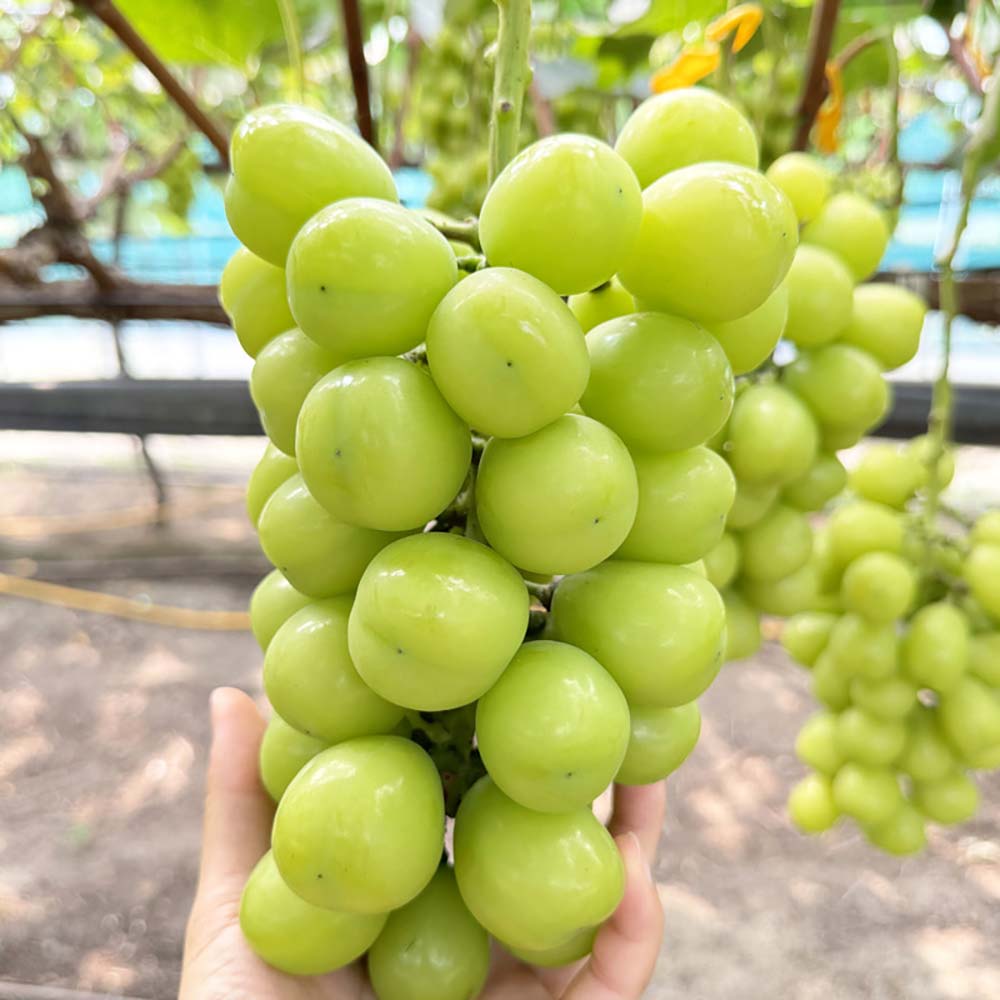 1727842656 thumbnail