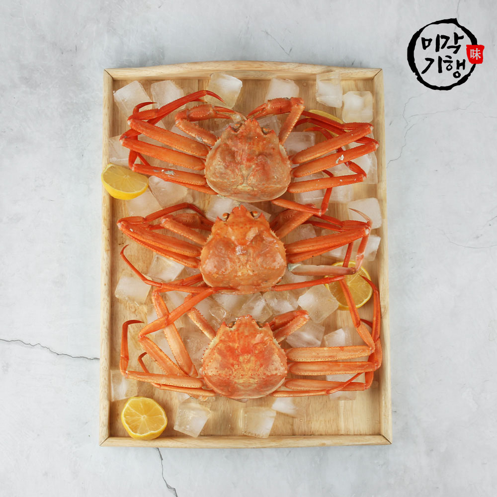 1728011086 thumbnail