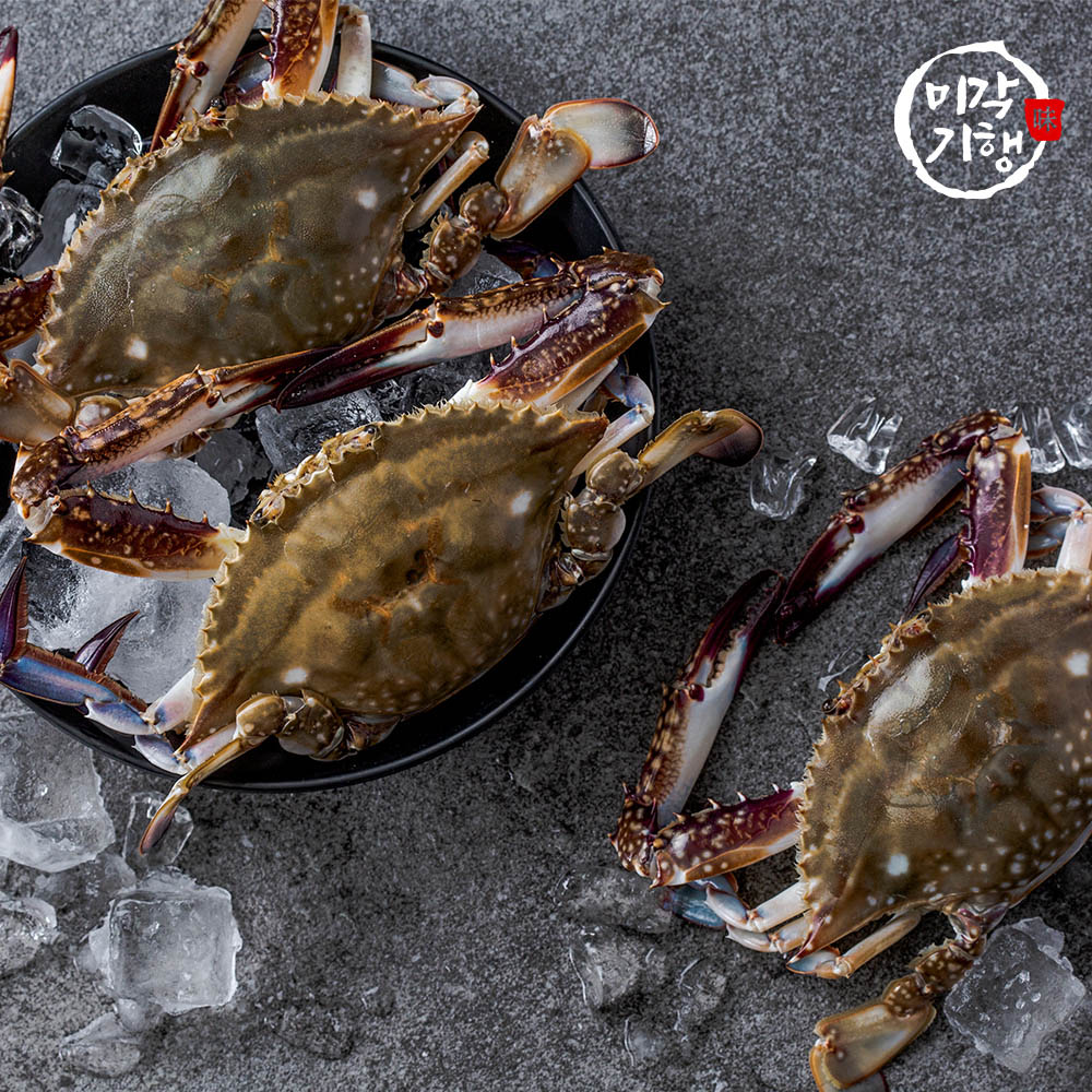 1728376527 thumbnail