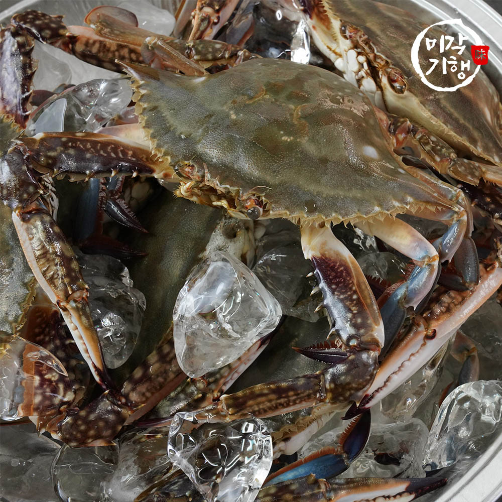 1728376528 thumbnail