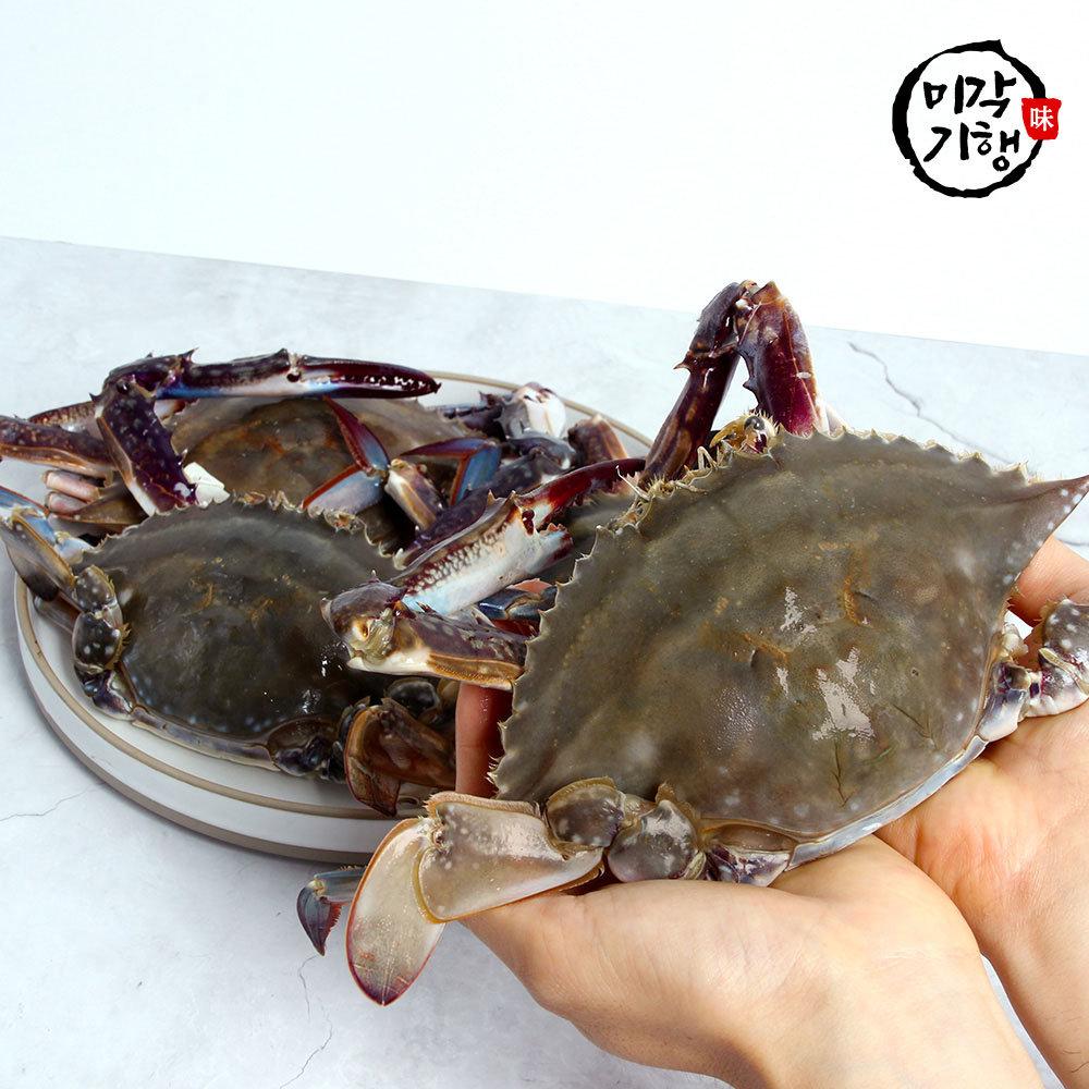 1728376529 thumbnail