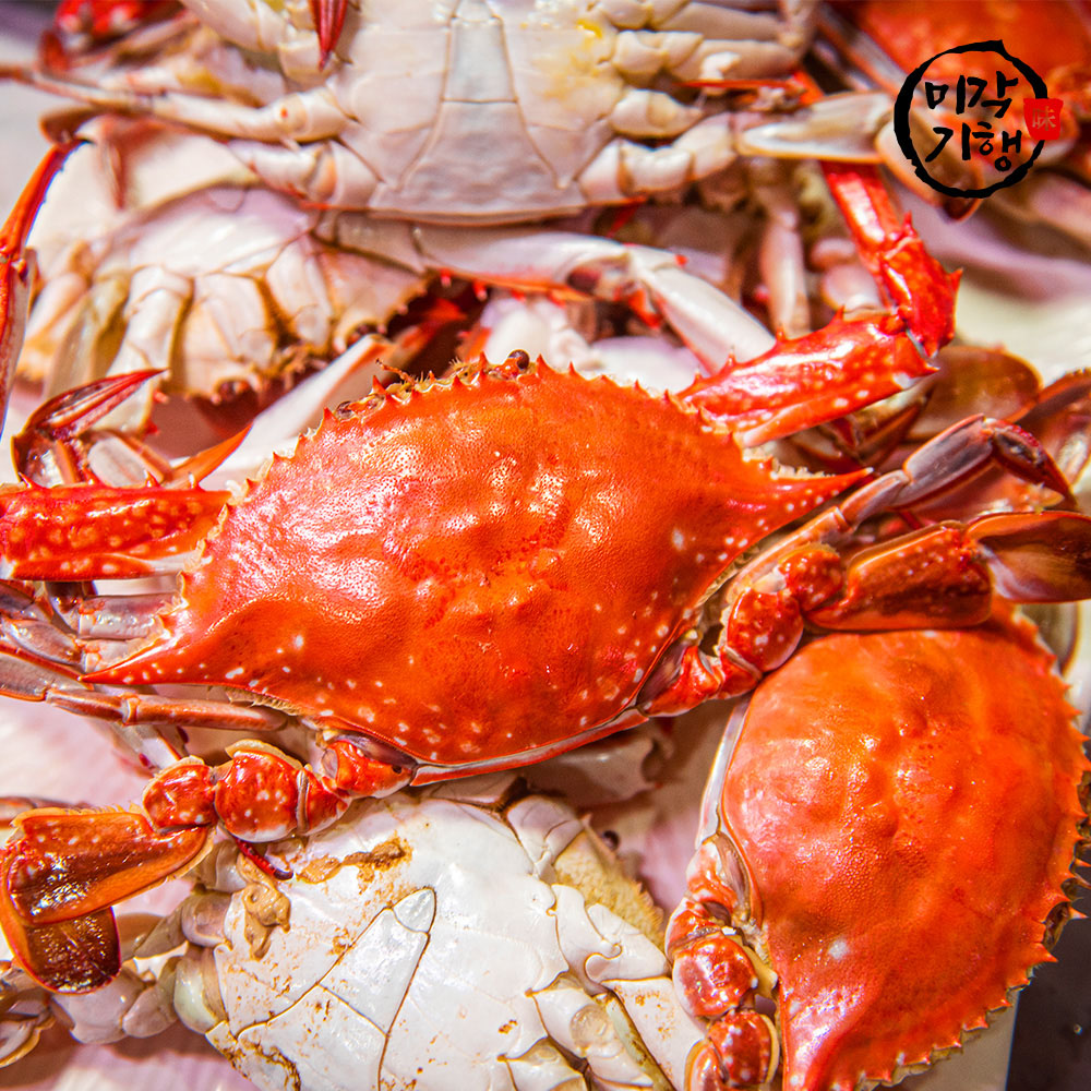 1728376530 thumbnail