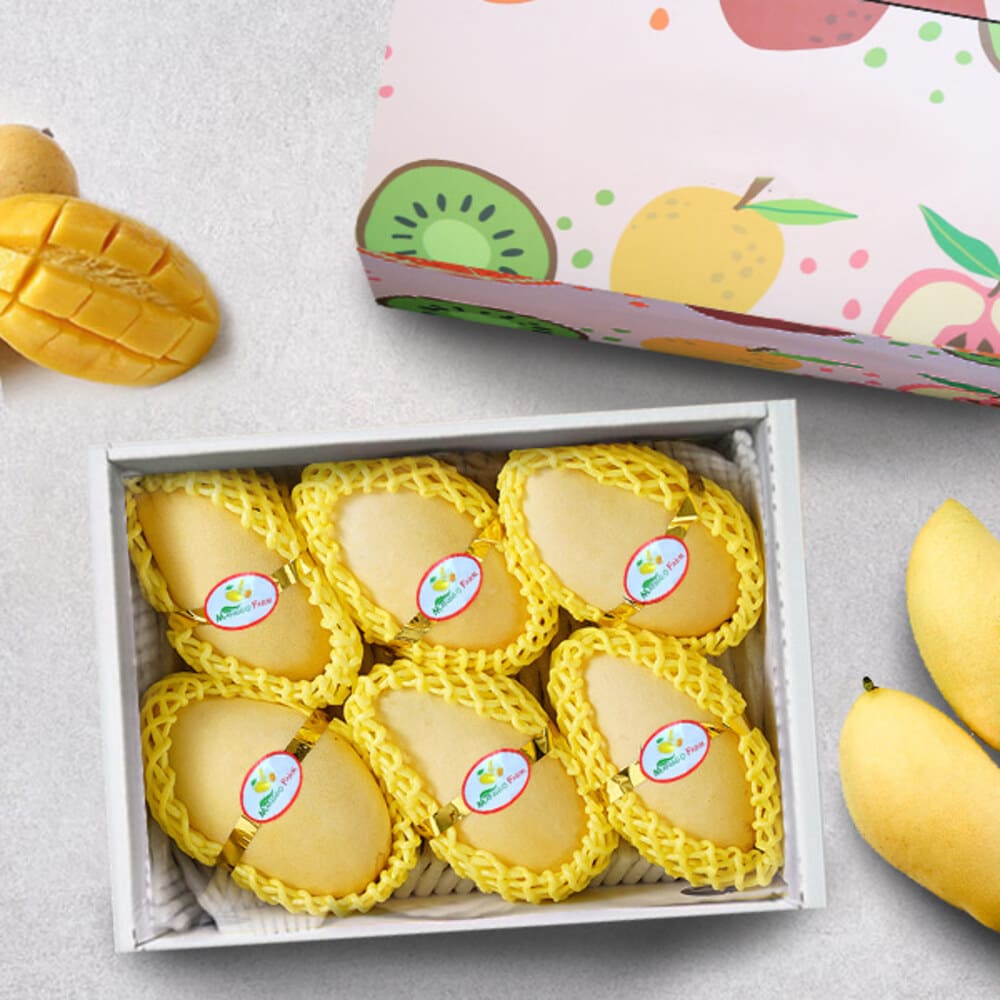 1728531490 thumbnail