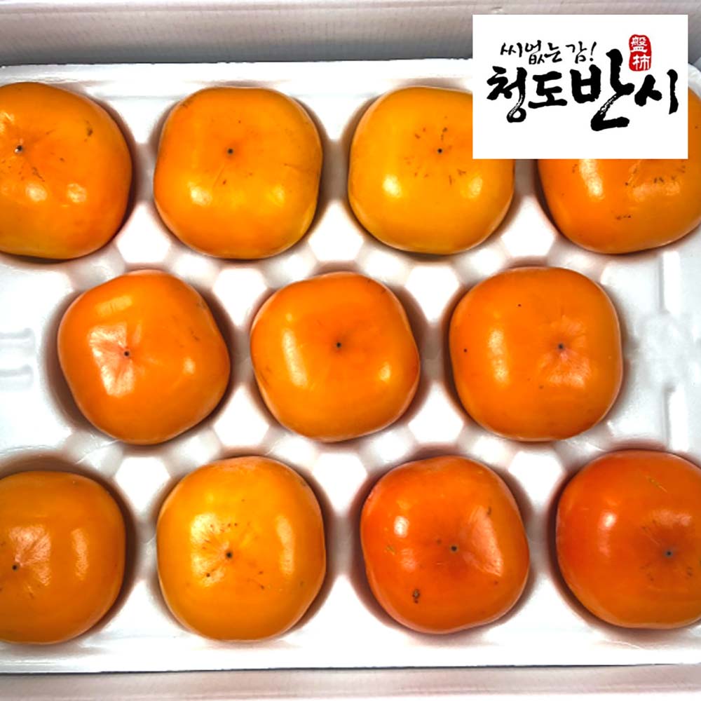 1728531513 thumbnail