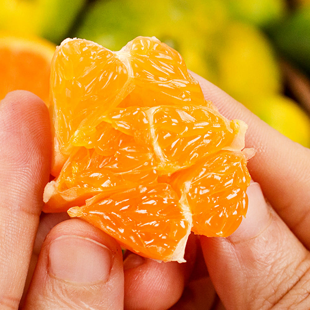 1728623526 thumbnail