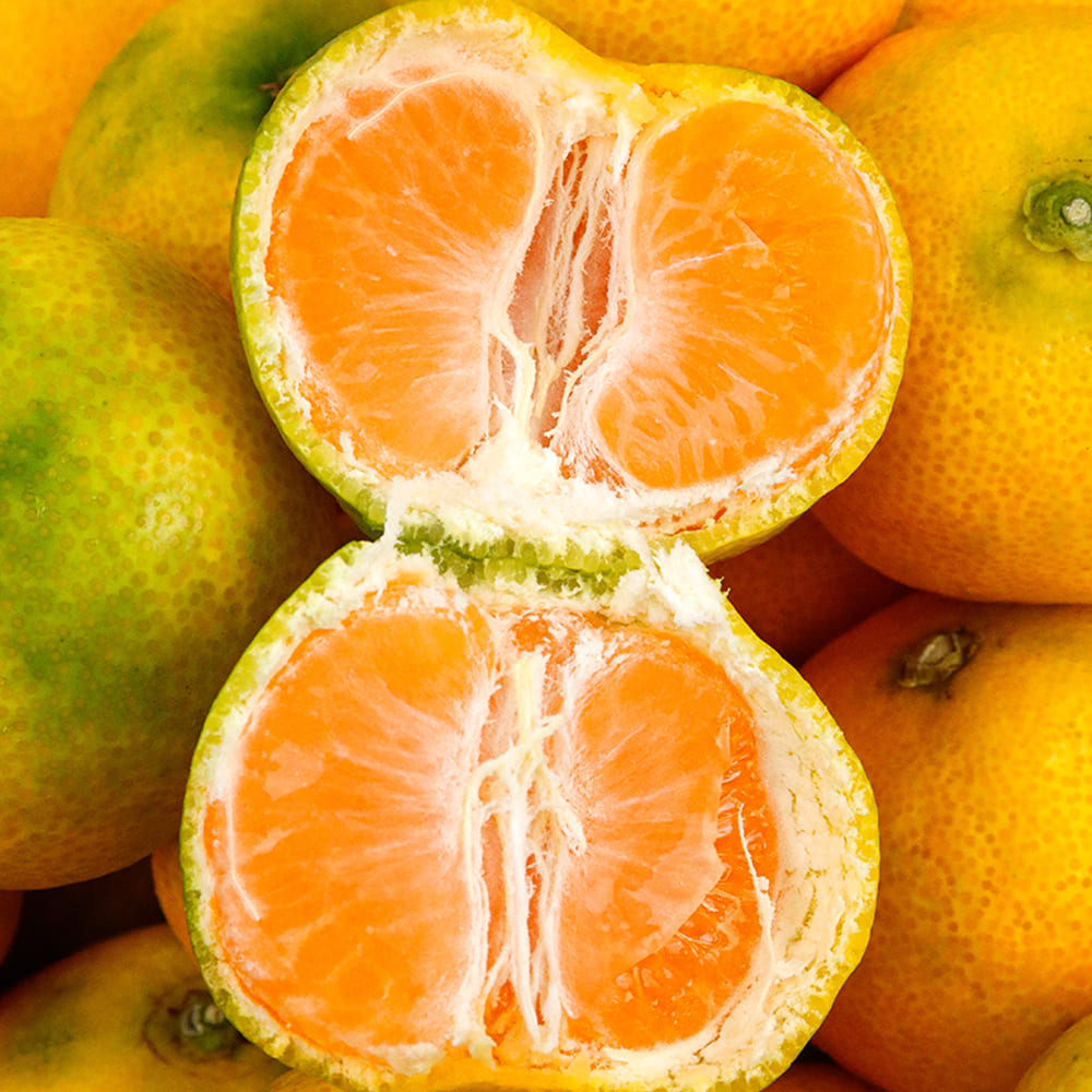 1728623528 thumbnail