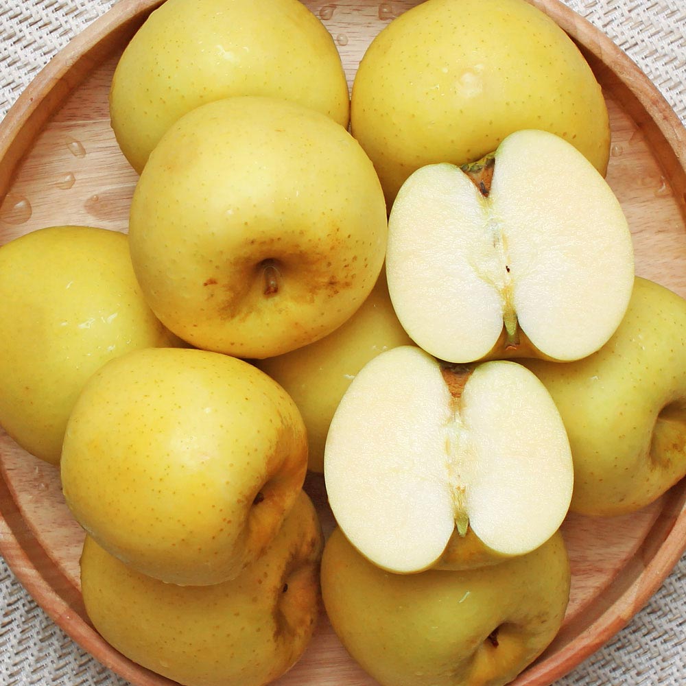 1728877557 thumbnail