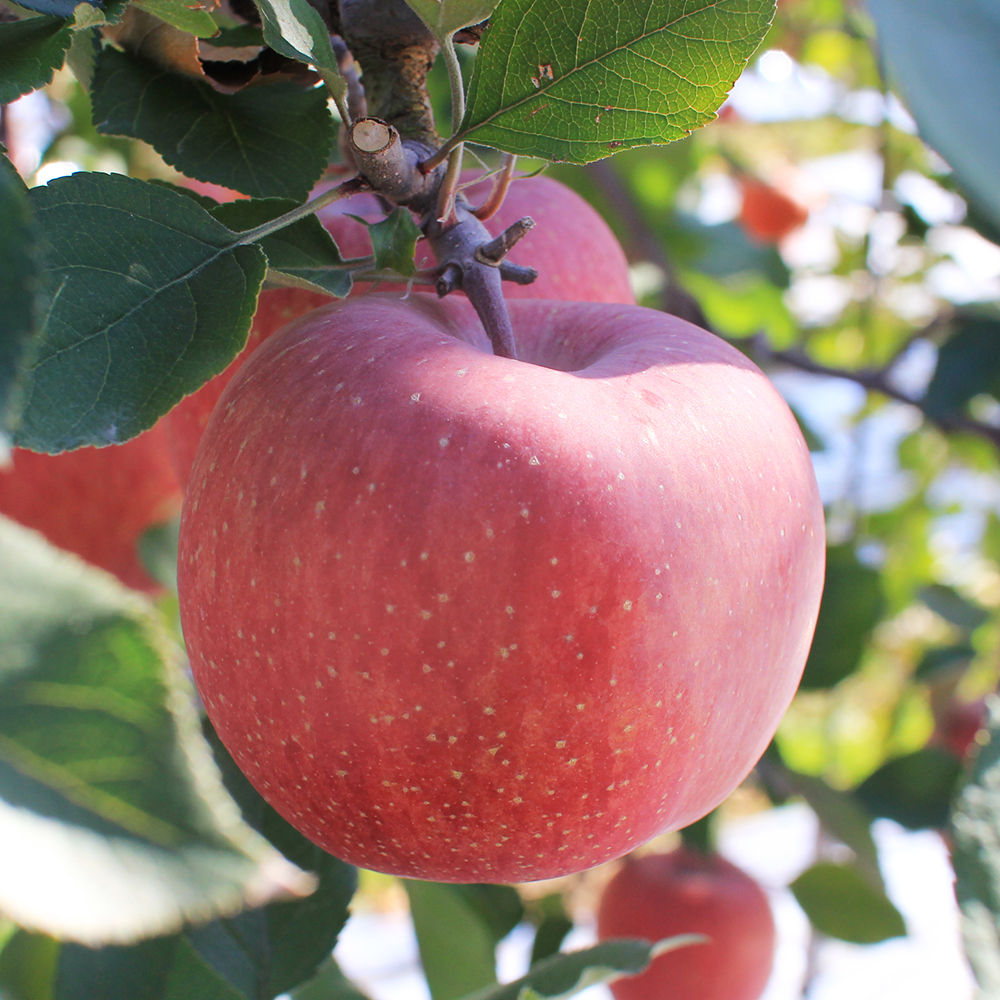 1728963370 thumbnail