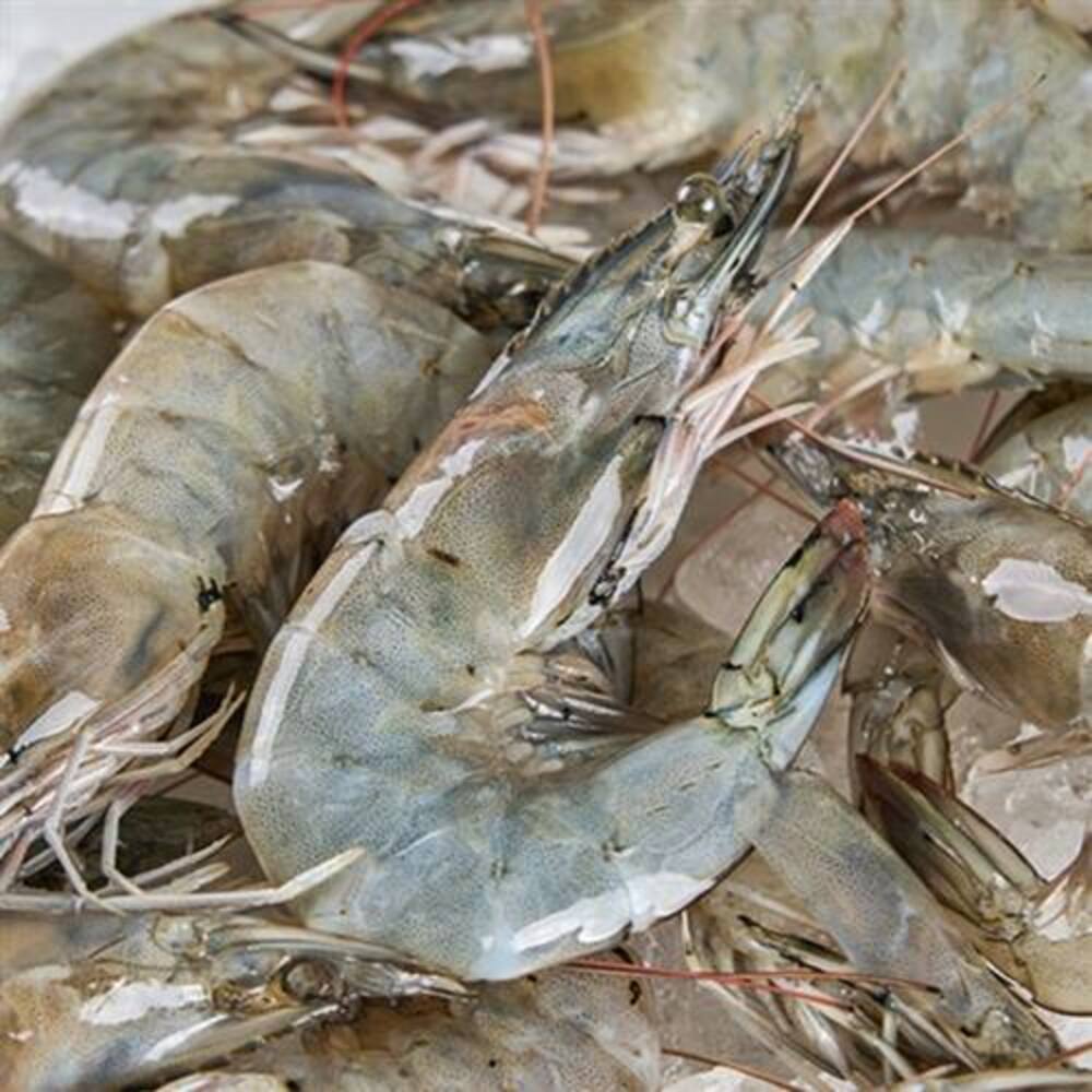 1728976420 thumbnail