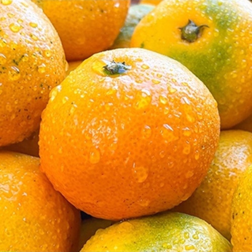 1728976426 thumbnail