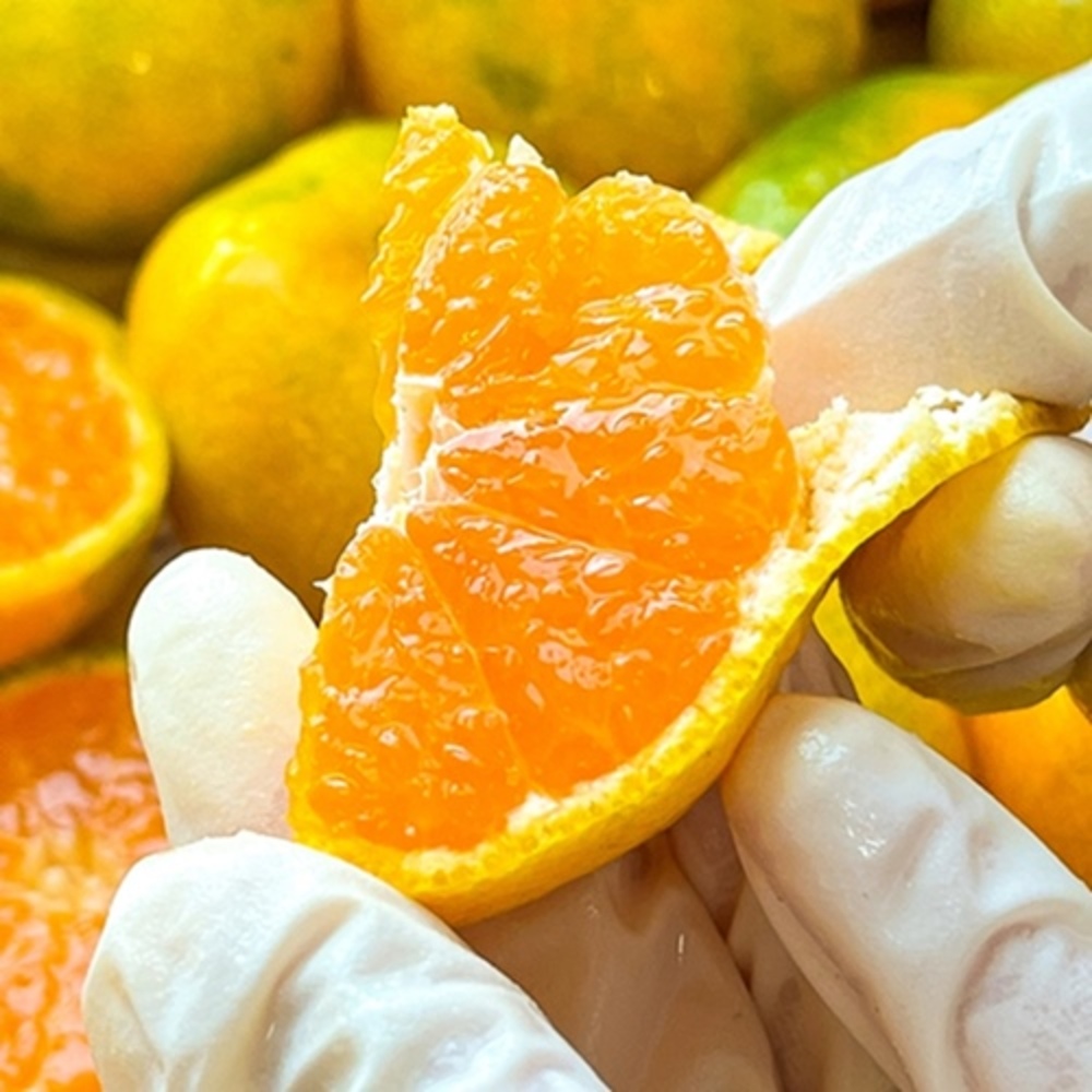 1728976429 thumbnail