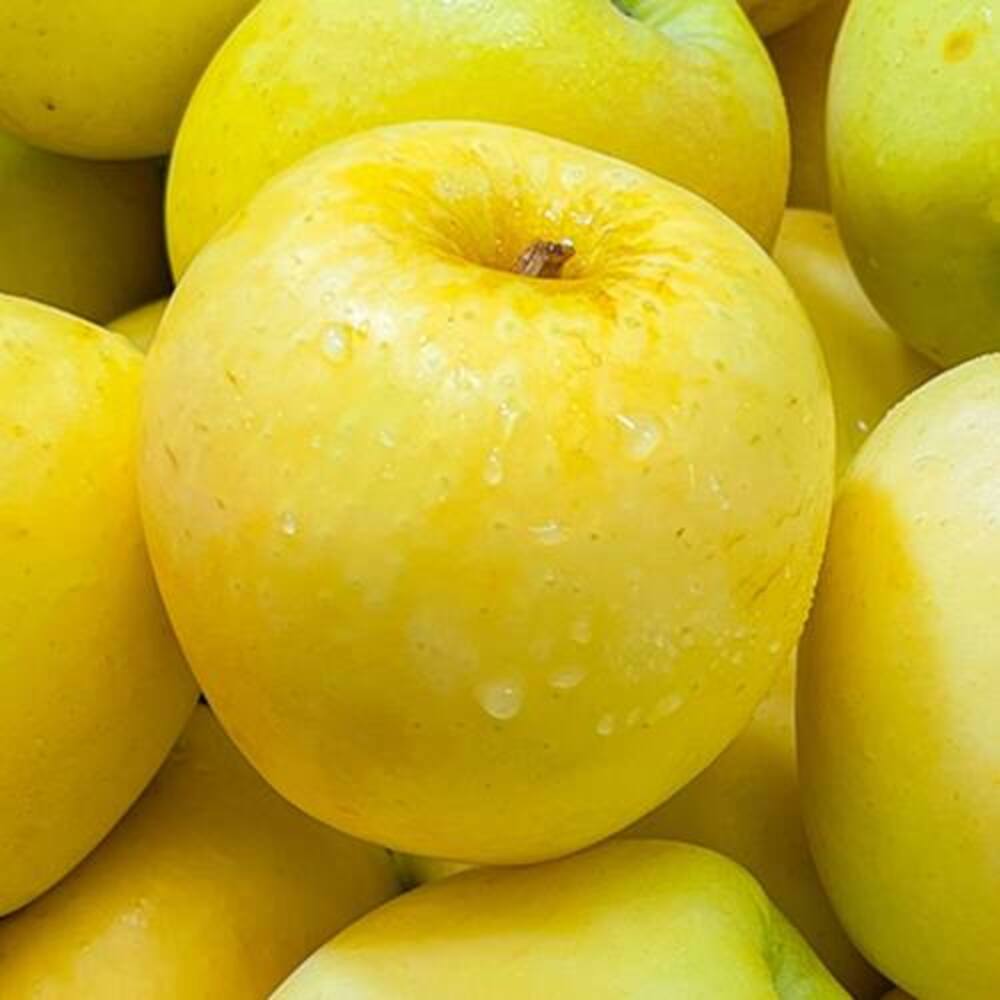 1728976433 thumbnail