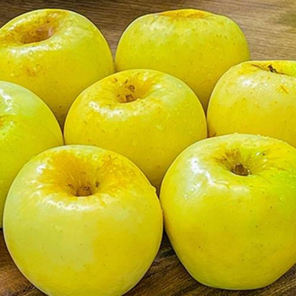 1728976438 thumbnail