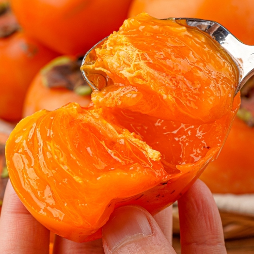 1728976447 thumbnail