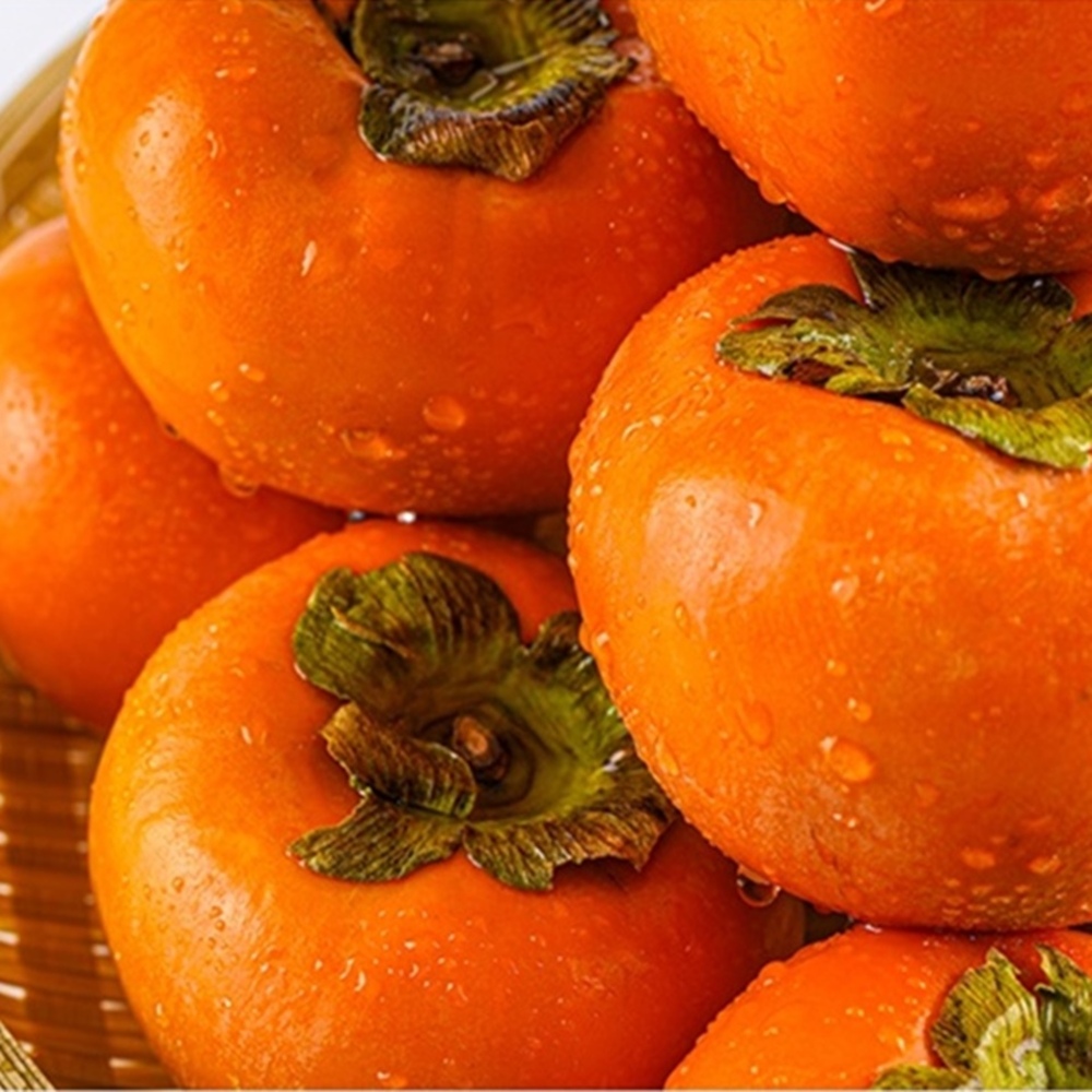 1728976448 thumbnail