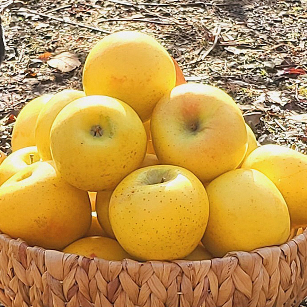 1728976473 thumbnail